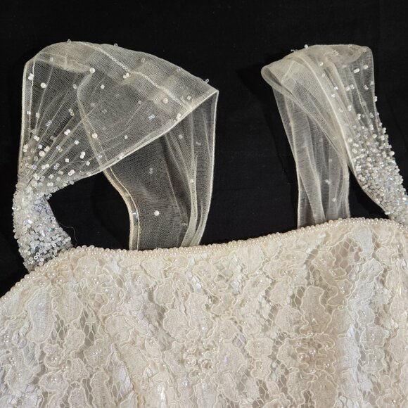 GALINA "Your Fairy Big Day" IVORY Empire Waist Beaded Lace Wedding Dress Size 12 - Picture 11 of 17